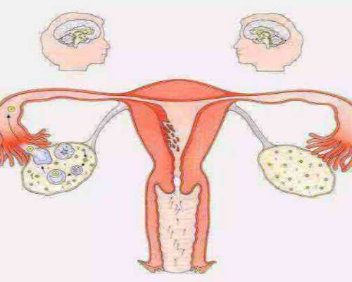 安徽省合肥供卵试管助孕医院排名附合肥供卵试管费用明细参考