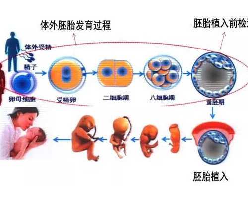 武汉私人代怀医院,武汉三代试管助孕孩子-武汉辅助生殖中心